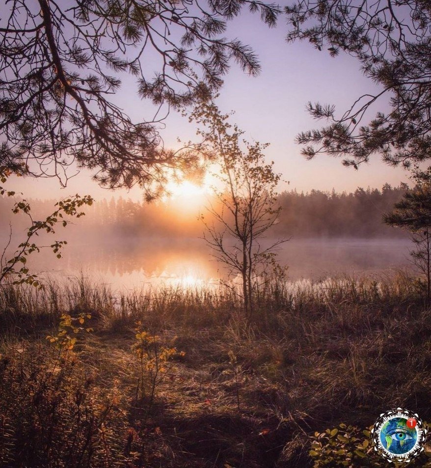 Безмолвие природы