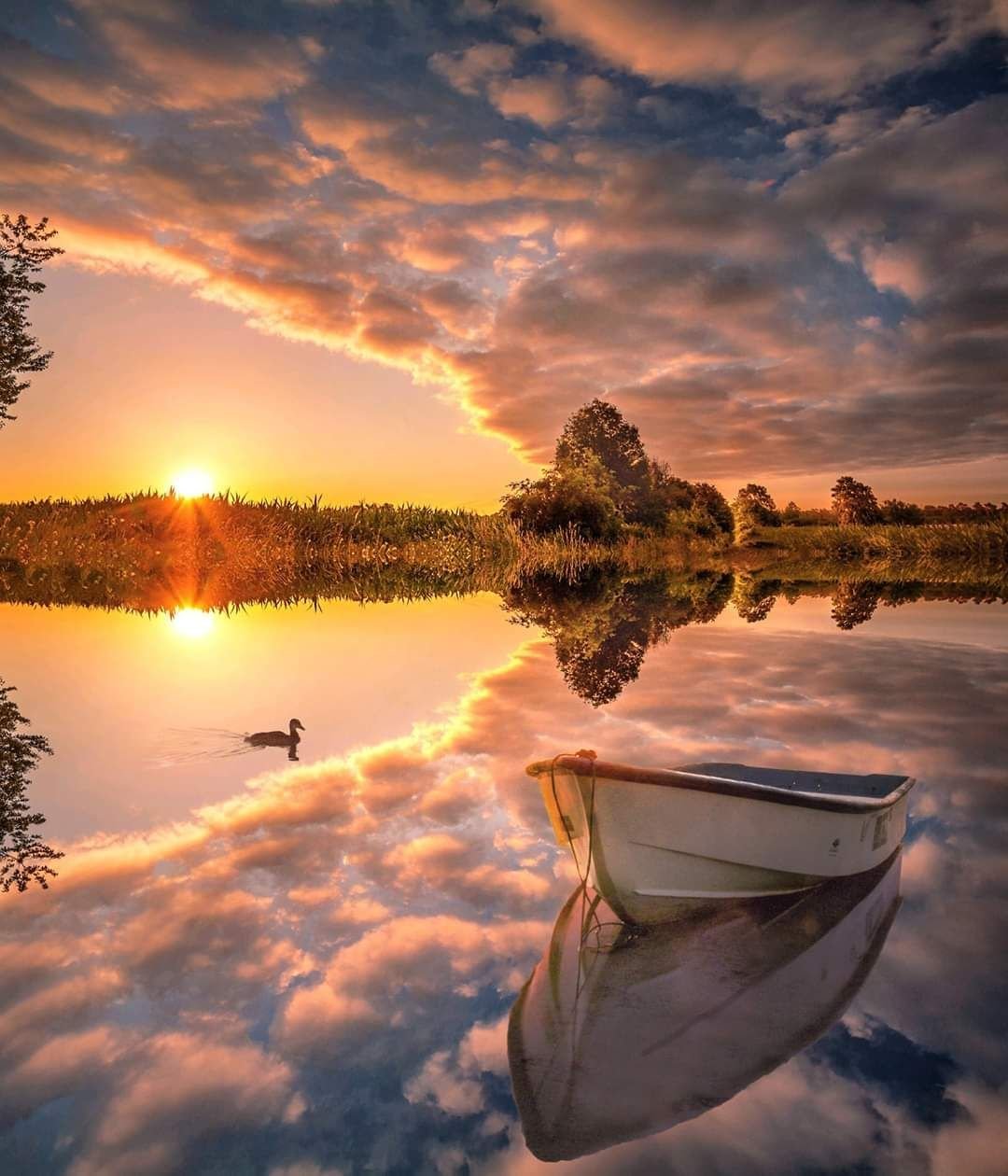 Тишина природы