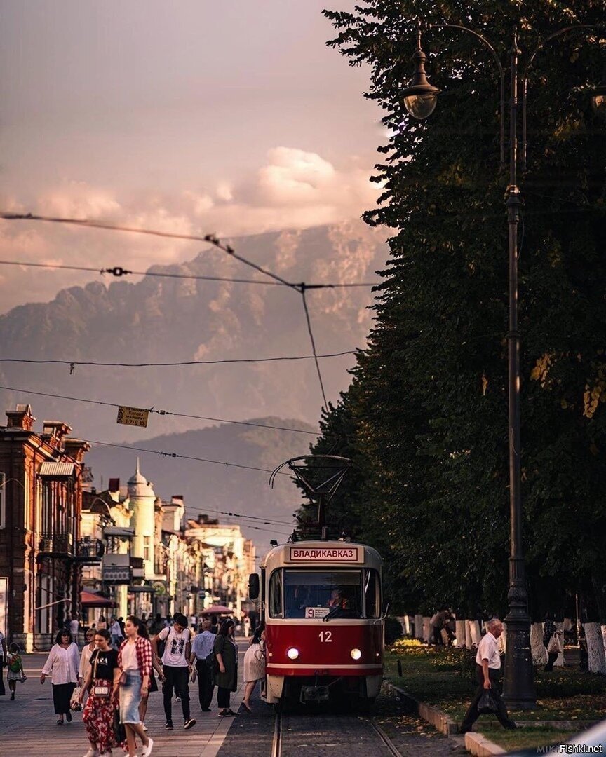 Алан Кочиев Владикавказ