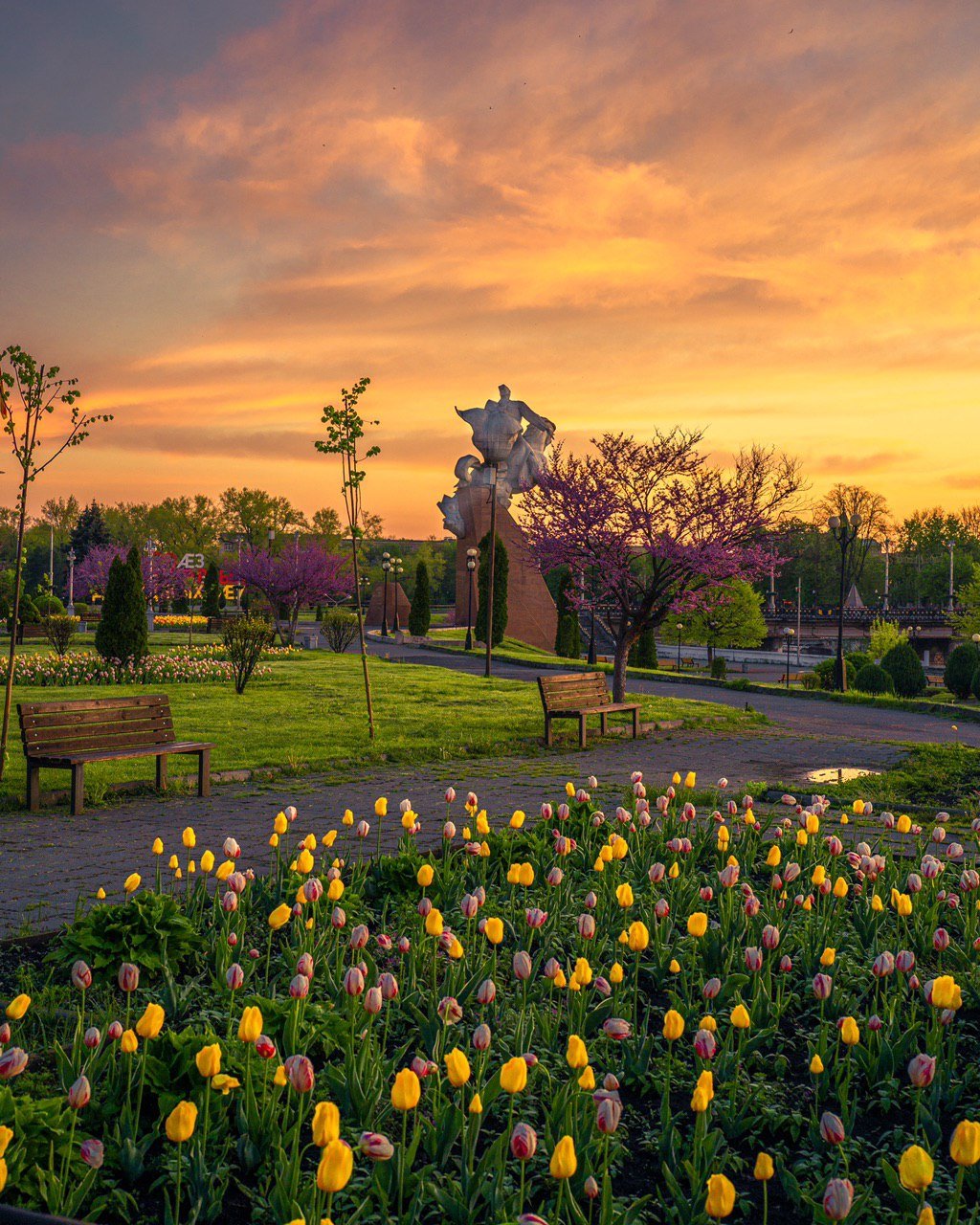 Владикавказ проспект столовая гора