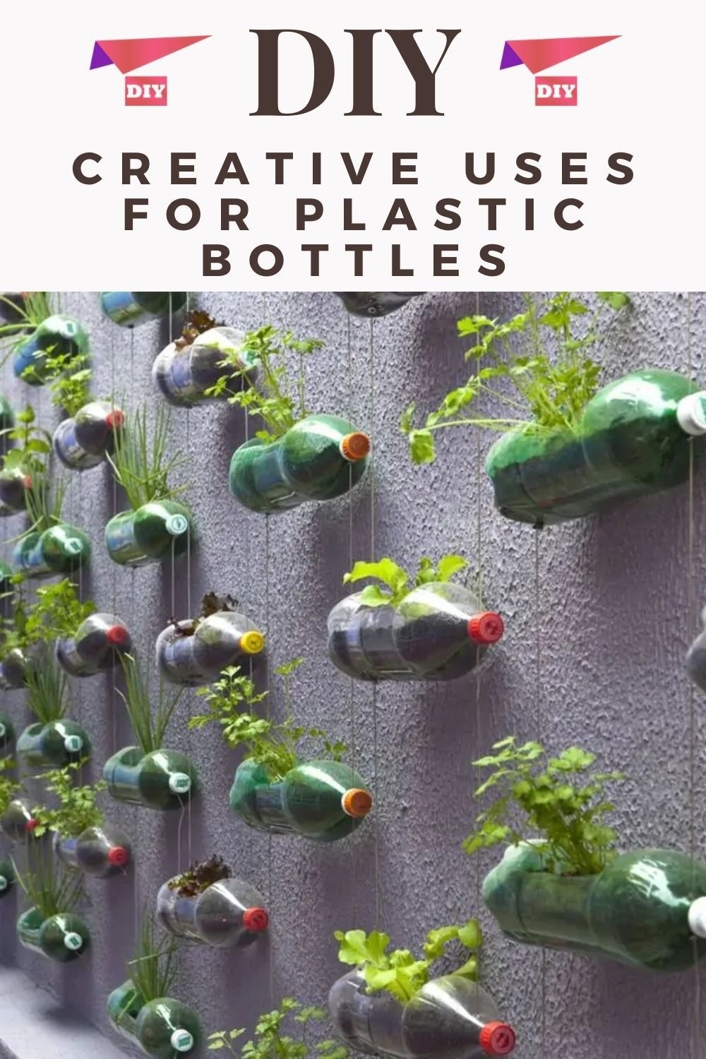 Вторая жизнь мусора картинки