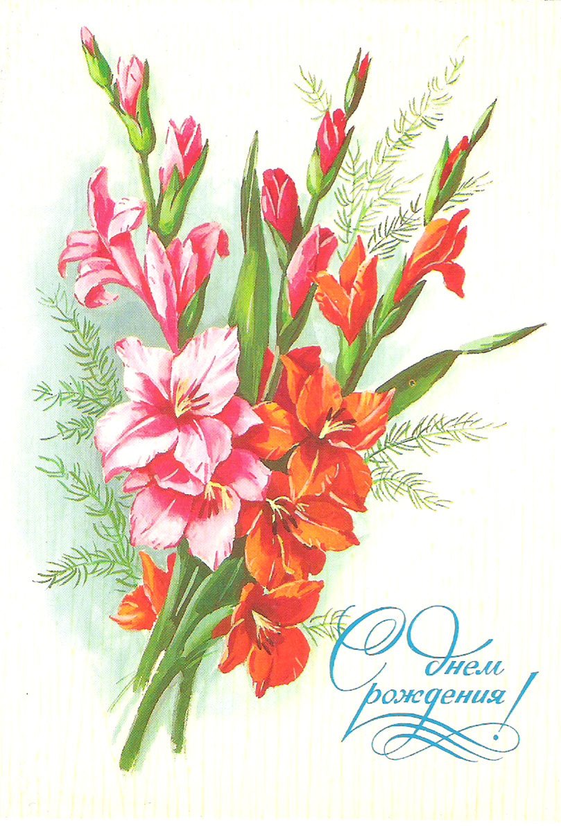 Открытки с гладиолусами
