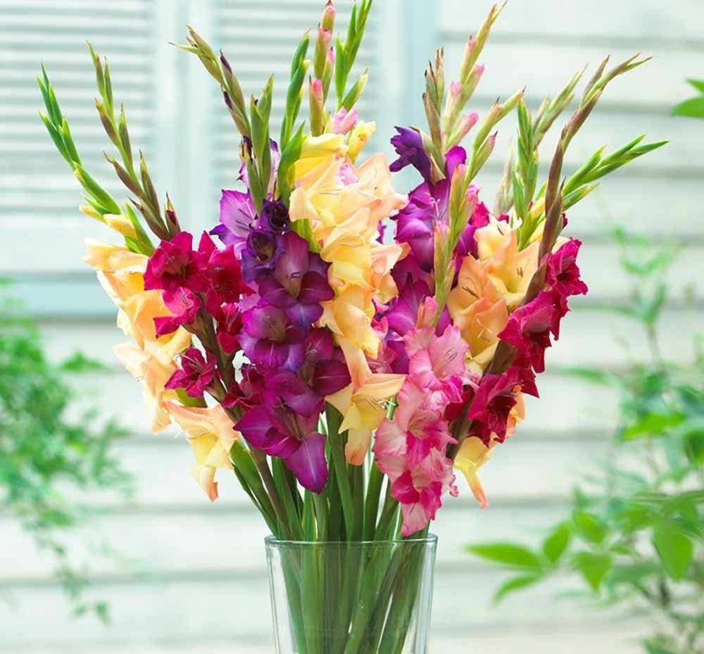 Букет с гладиолусами