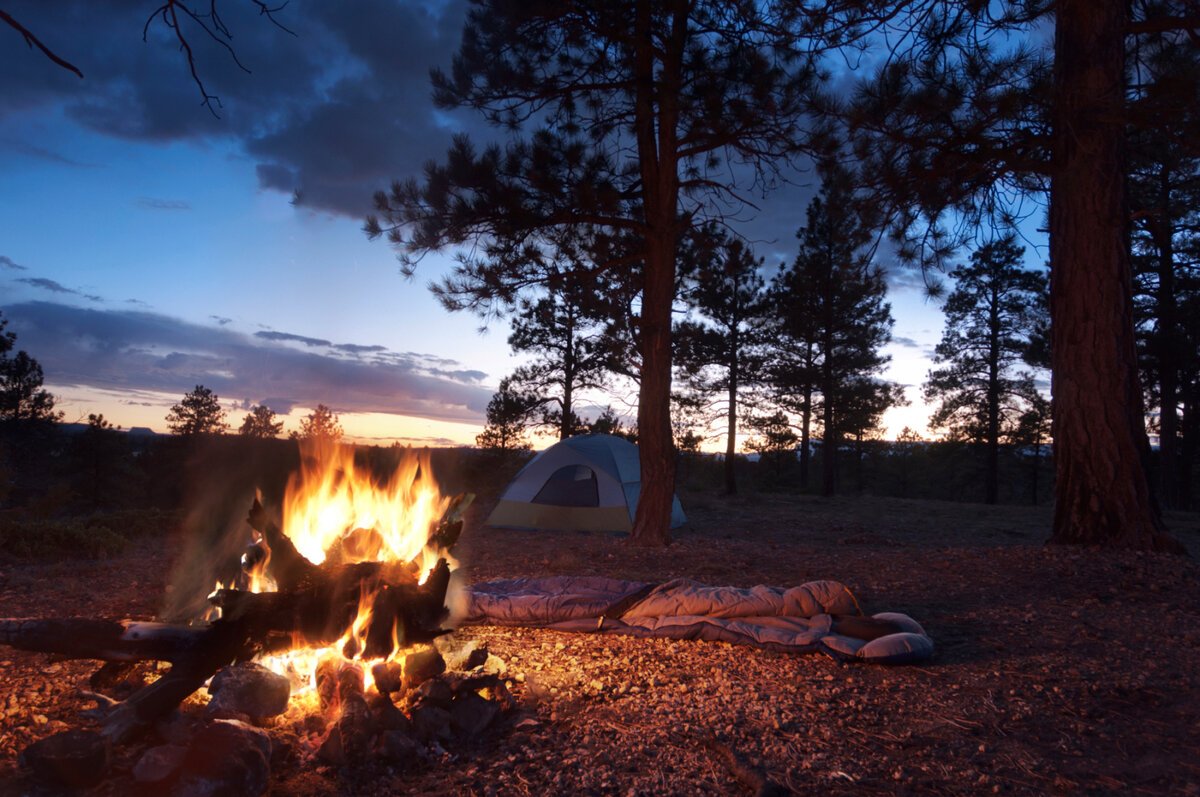 Лес лагерь палатка костер