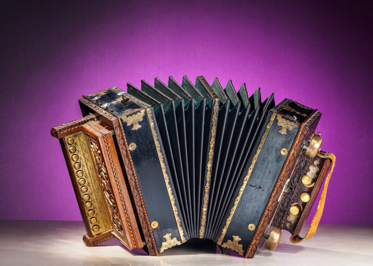 Гармошка логотип