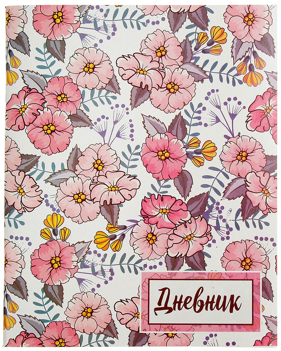 Обложка для дневника