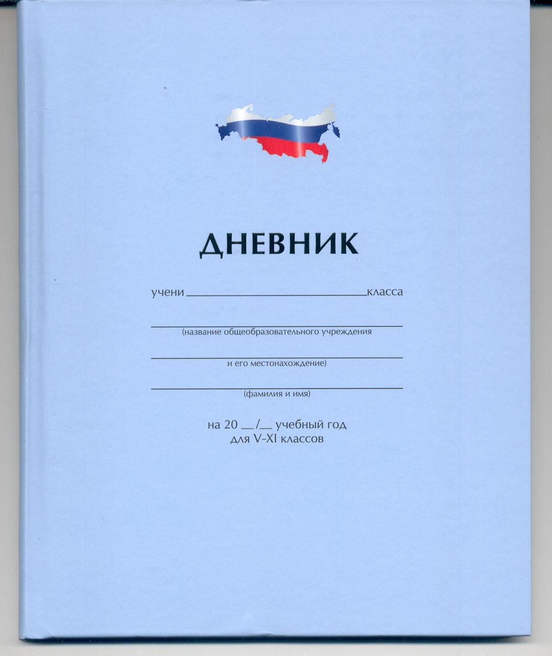 Дневник школьный красивый стильный