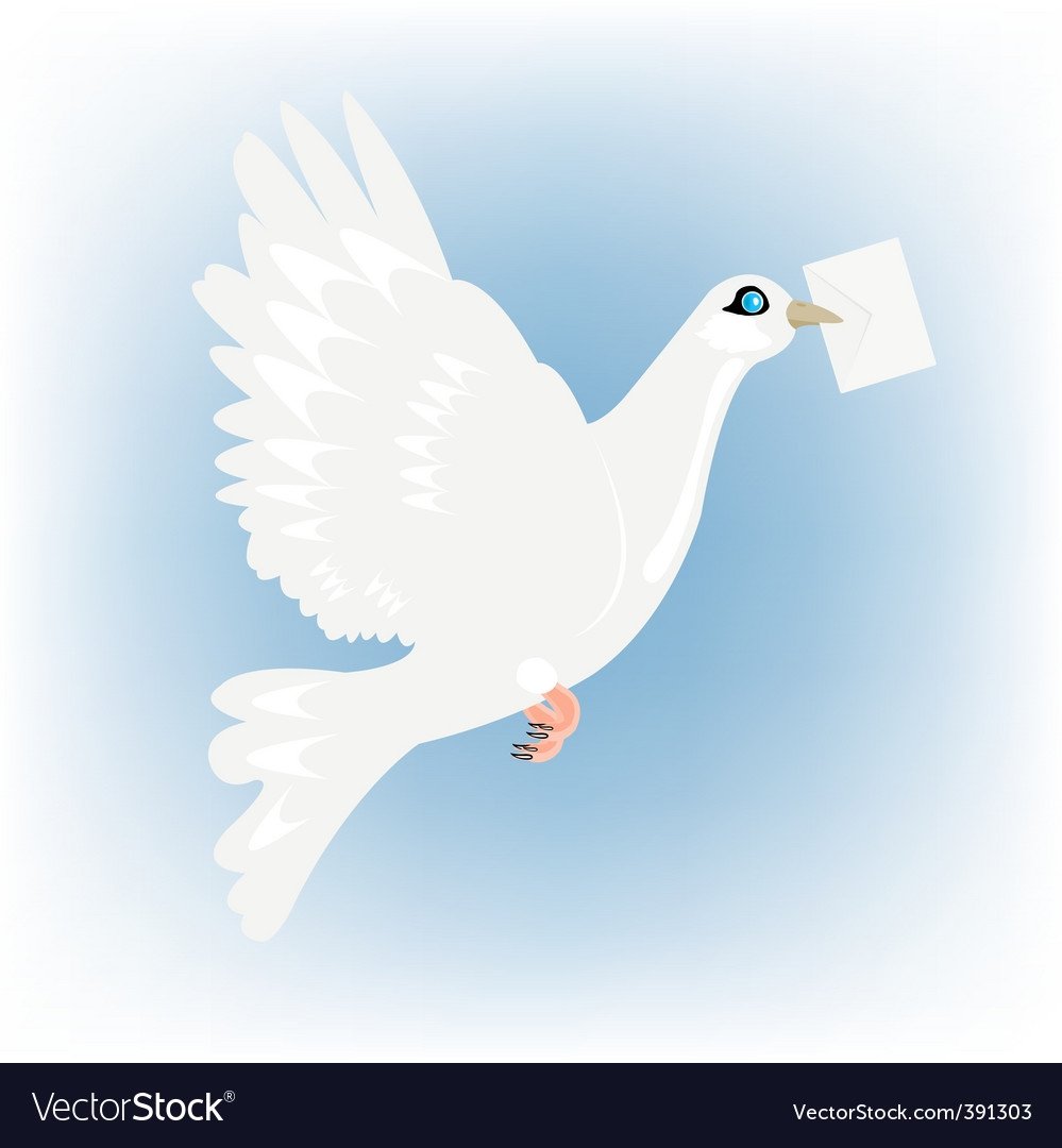 Почтовый голубь раскраска