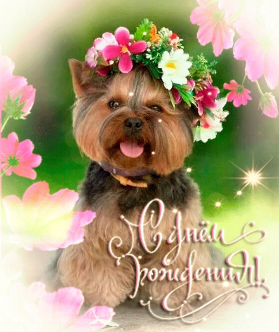 С днём рождения женщине