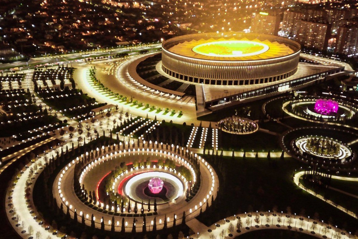 Парк Галицкого в Краснодаре Чилийская сосна