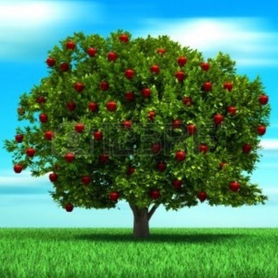 Яблоко для детей