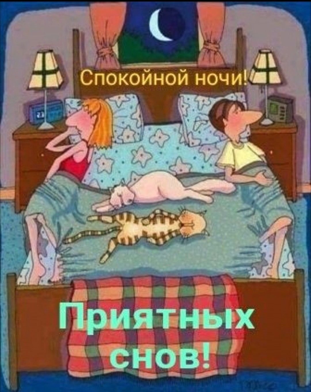 Пожелания на ночь прикольные