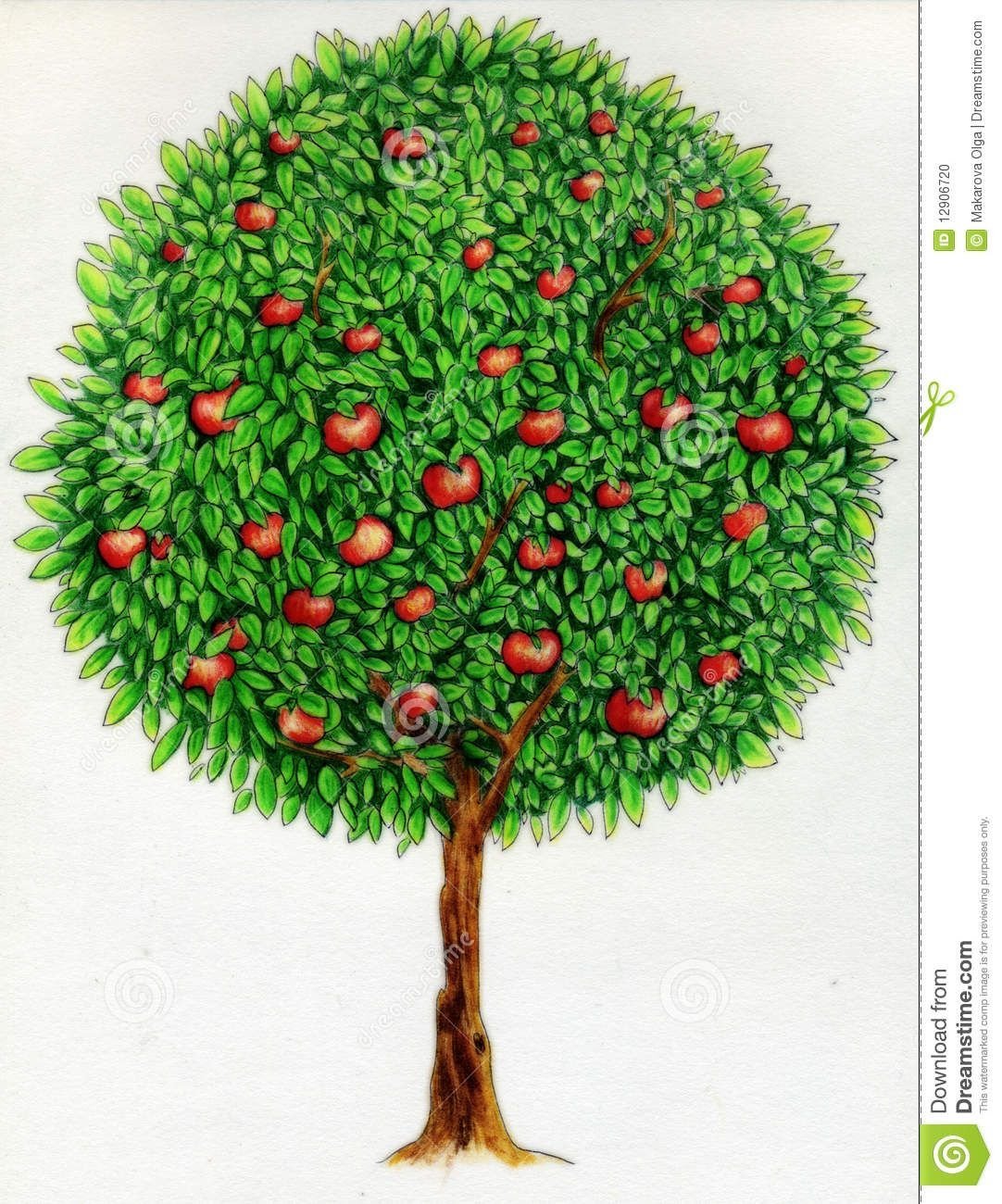 Яблочное дерево для дете