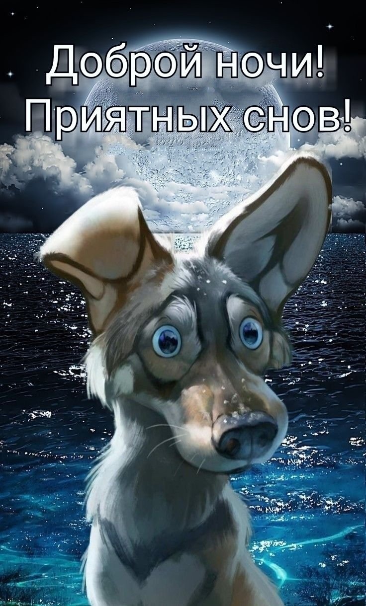 Бессонница карикатура