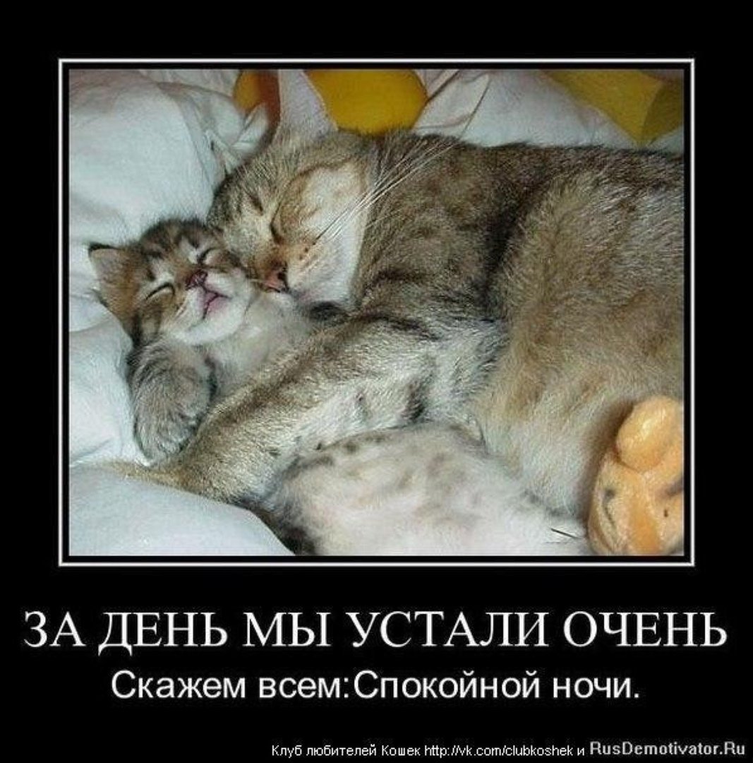 Необычные открытки спокойной ночи