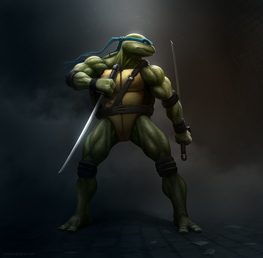 TMNT Leonardo Art