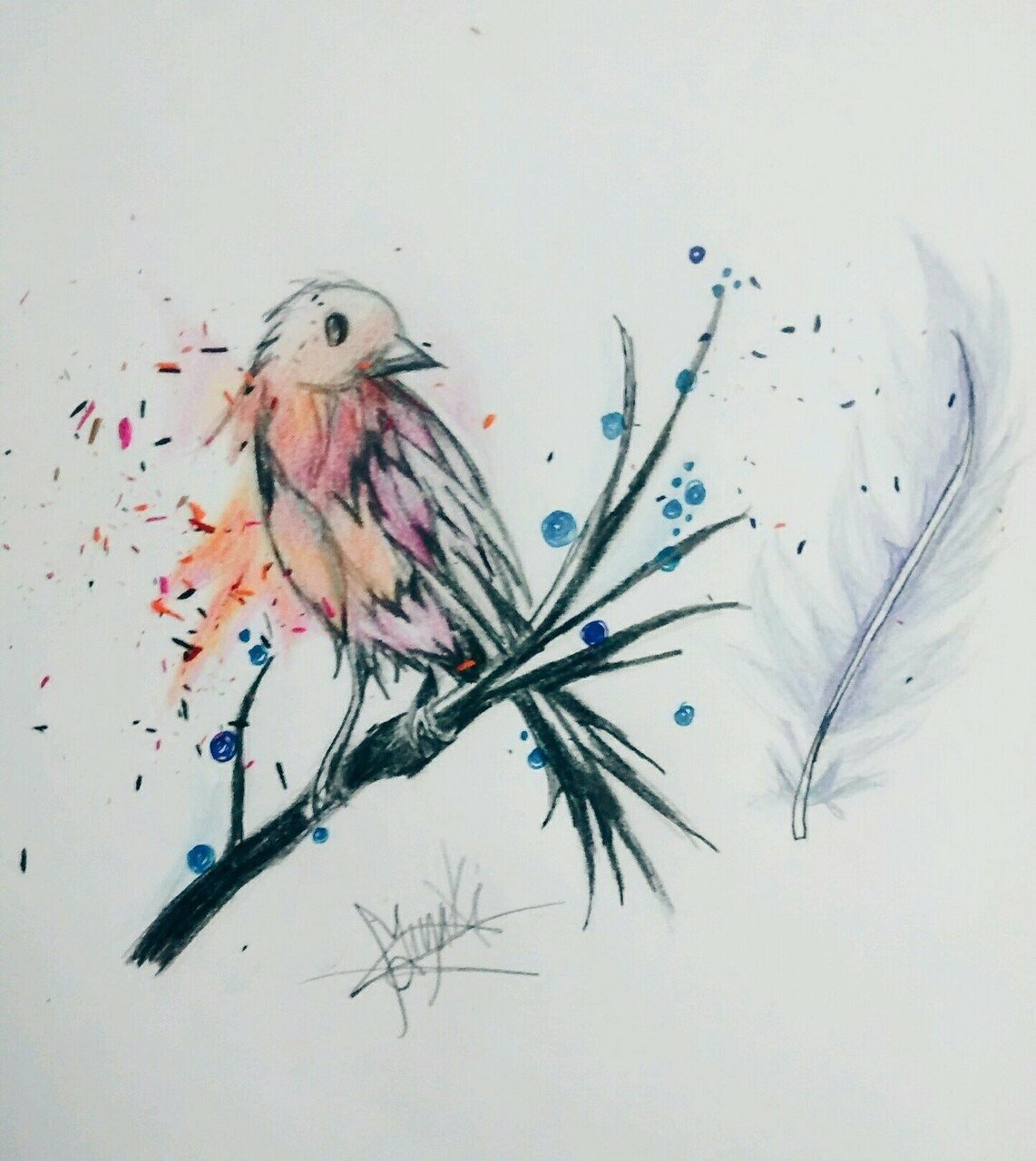 Рисунки птичек для срисовки