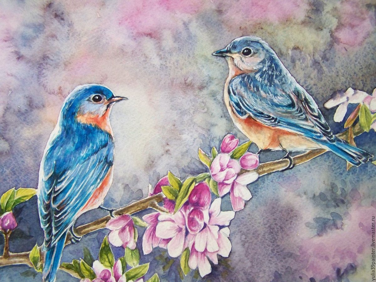 Попугай корелла набросок