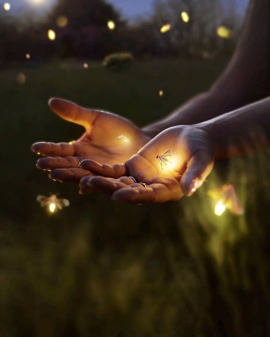 Волшебство в руках