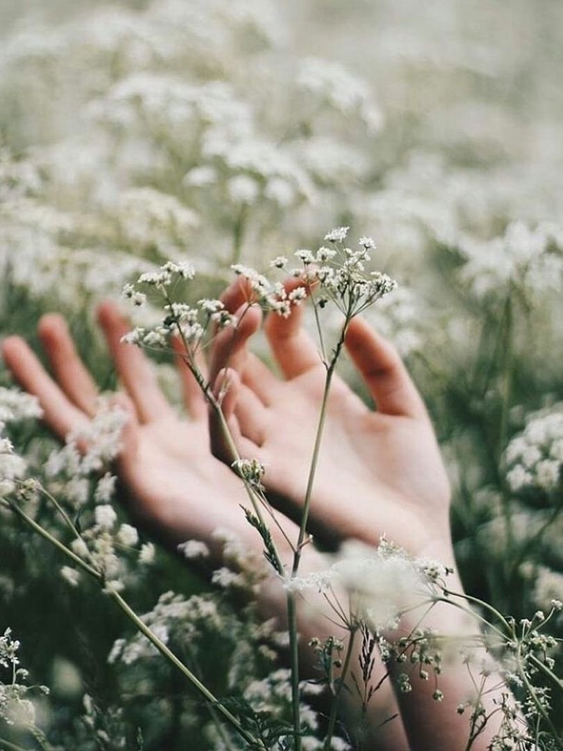 Нежность природа