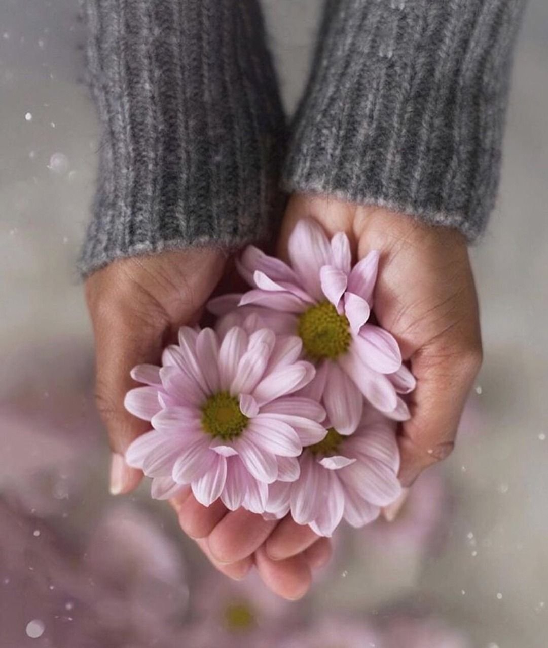 Цветы в ладонях