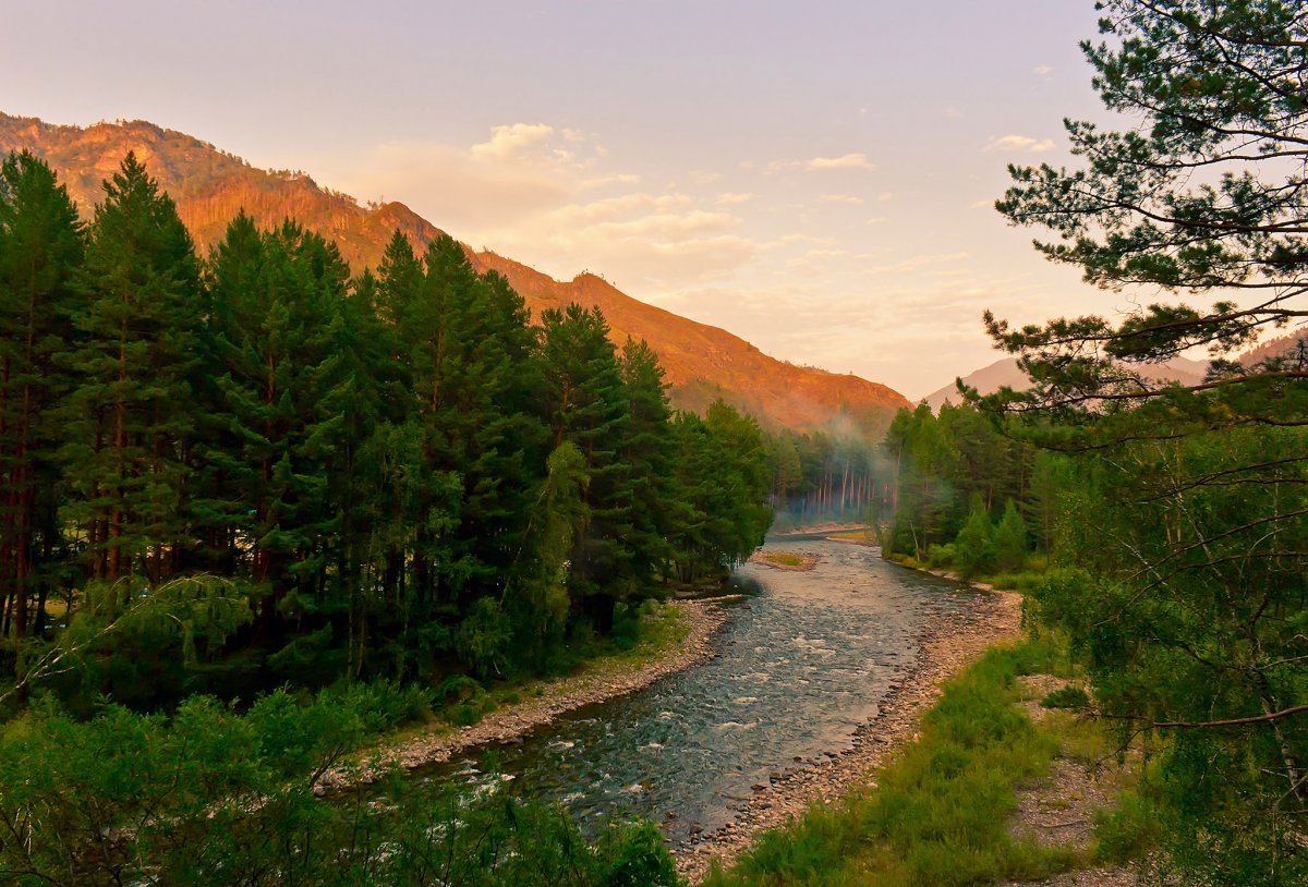 Черневая Тайга Алтайского края