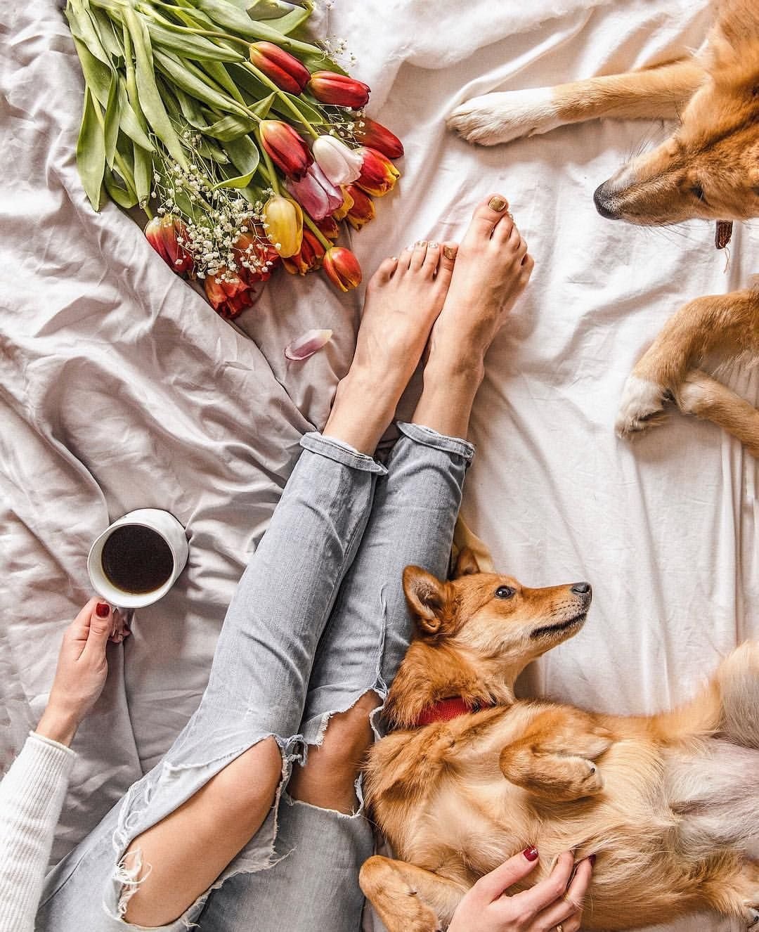 День заботы о себе