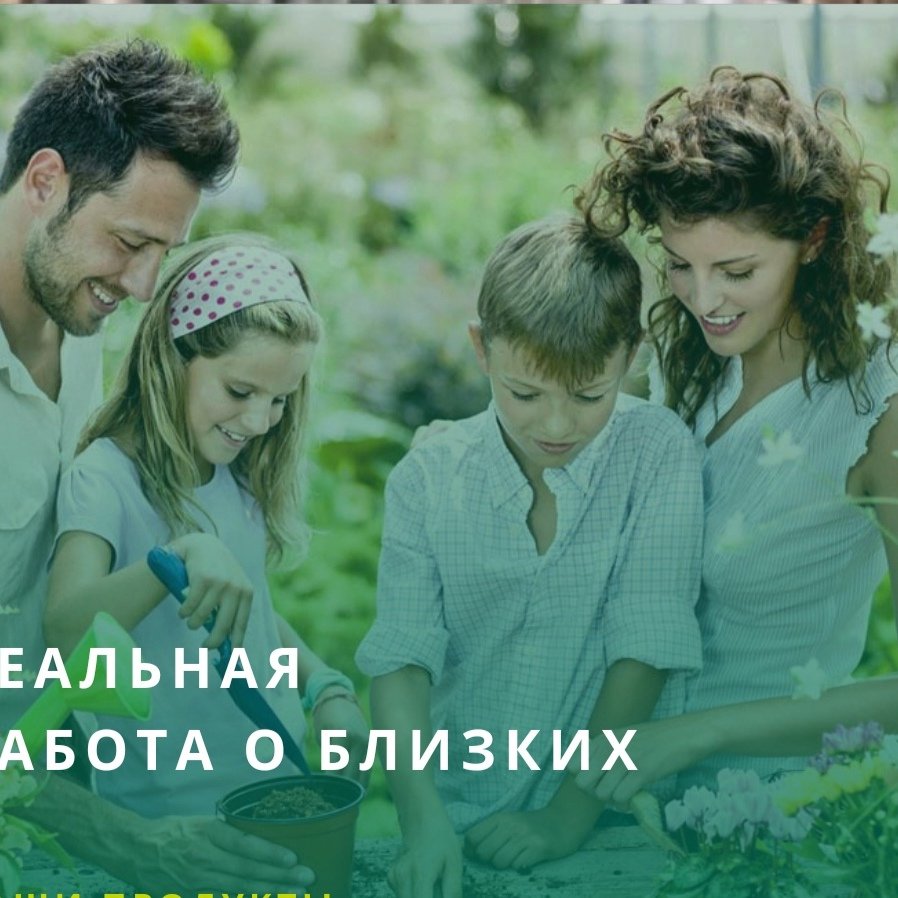 Красивые весенние цветочки в руке