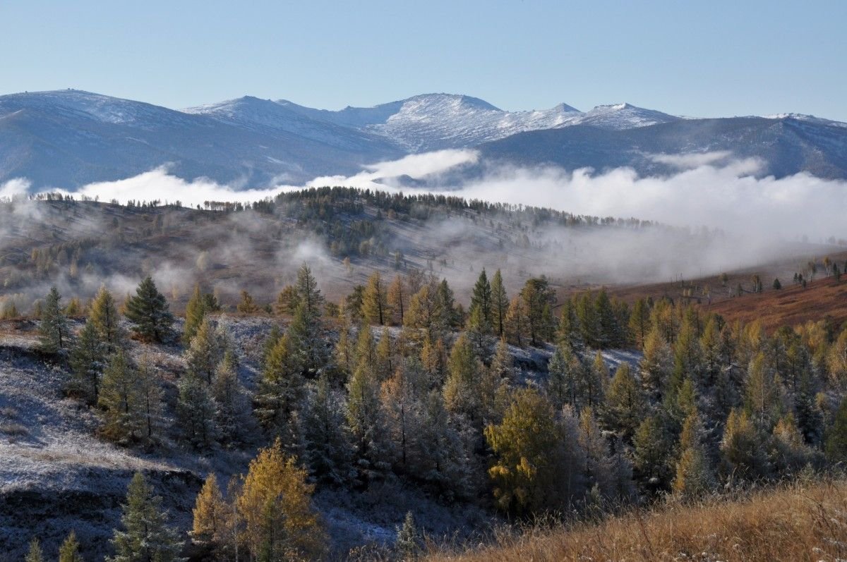 Предгорье Алтая осенью