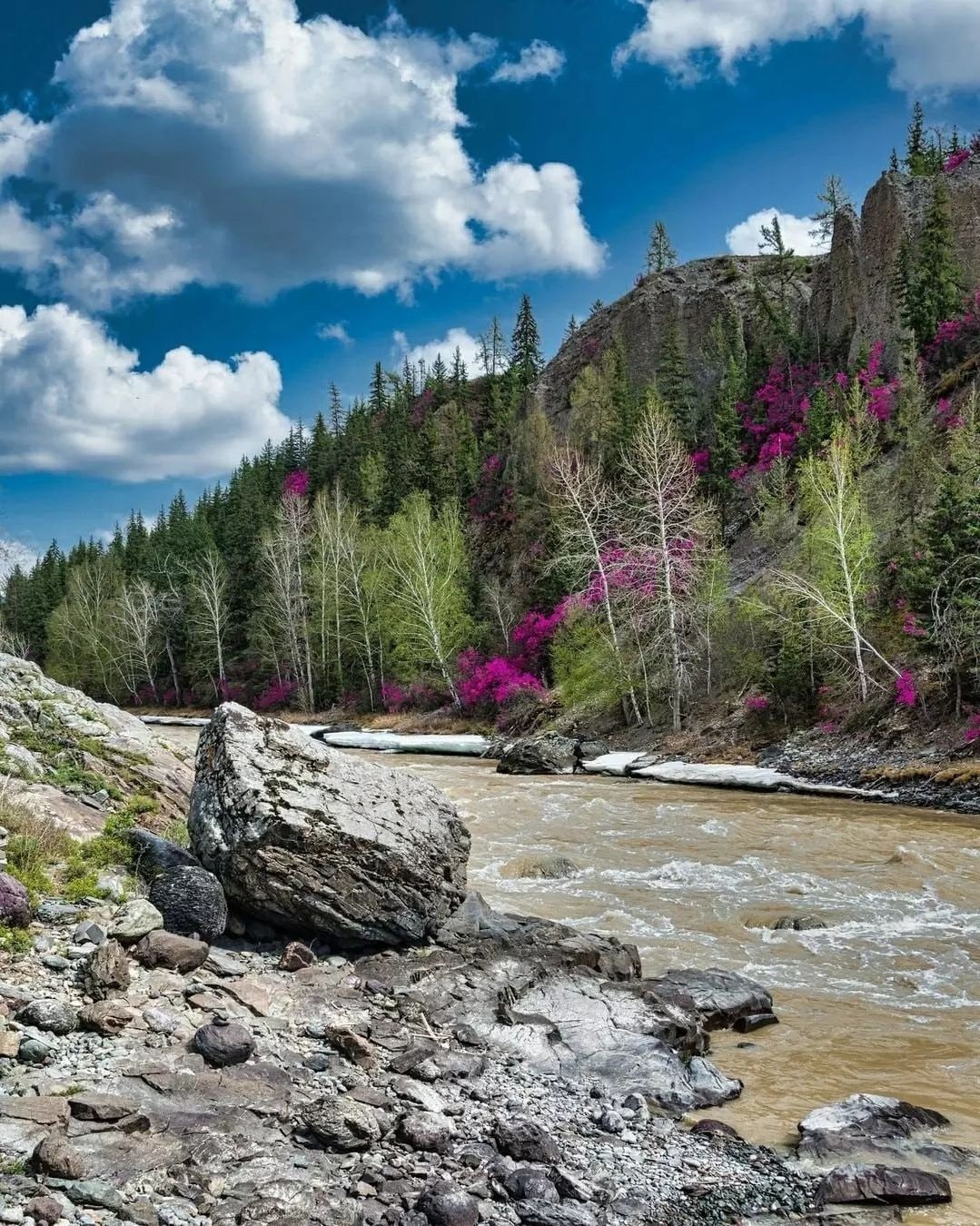 Шавлинские озера Алтайский край