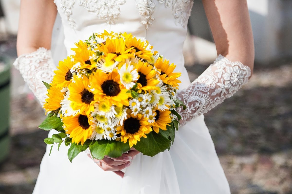 Свадьба CSTOL