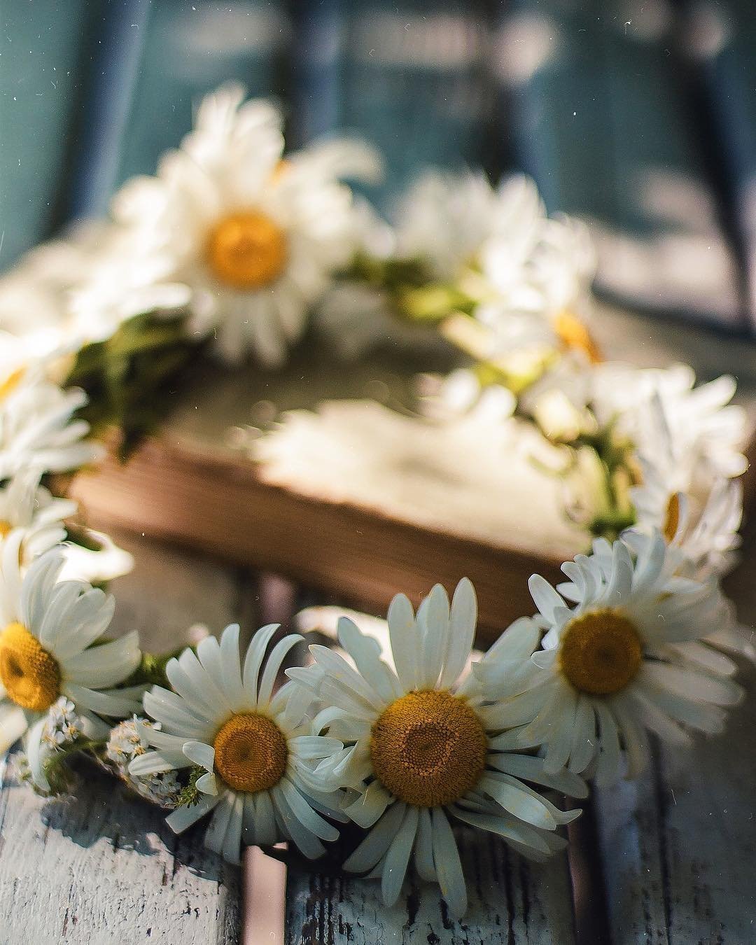 Букеты ромашек с пожеланиями