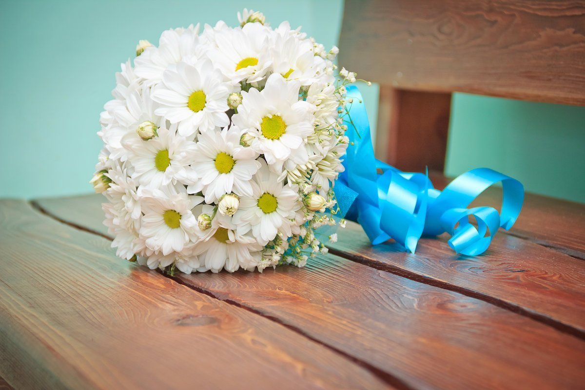 ЗАГС С ромашками