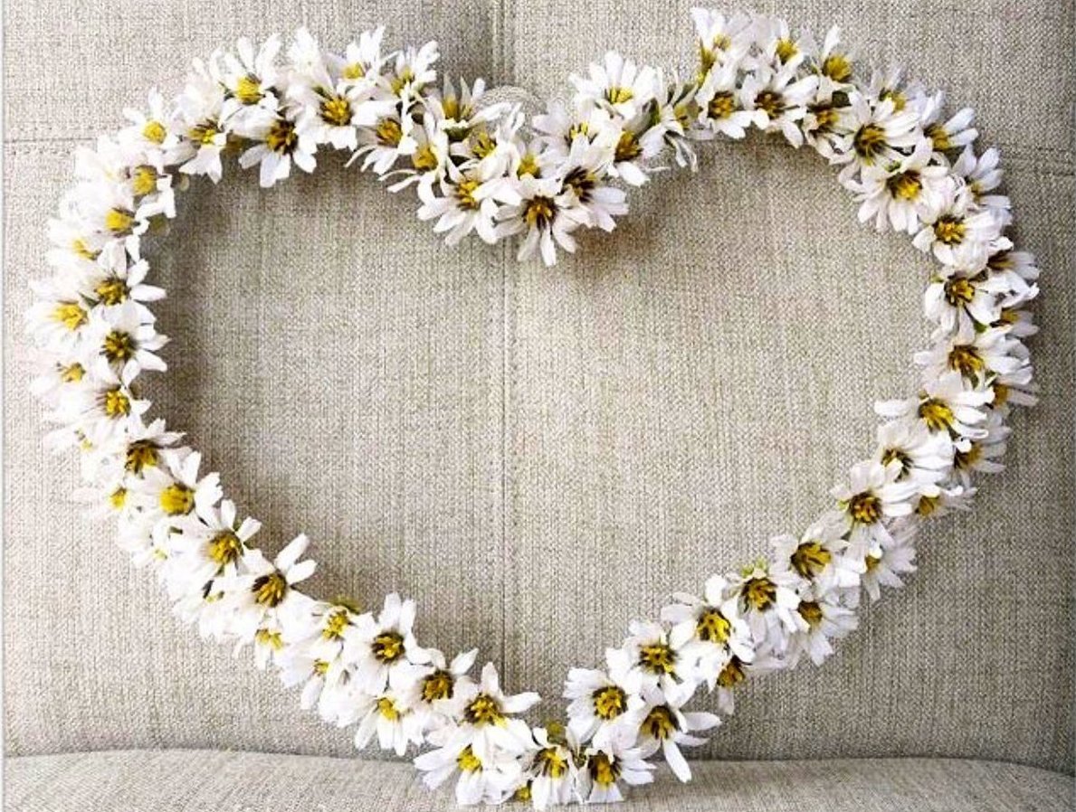 Ромашковая свадьба картинки