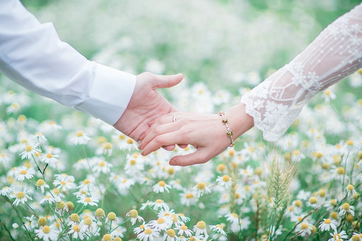 Свадьба в ромашковом стиле