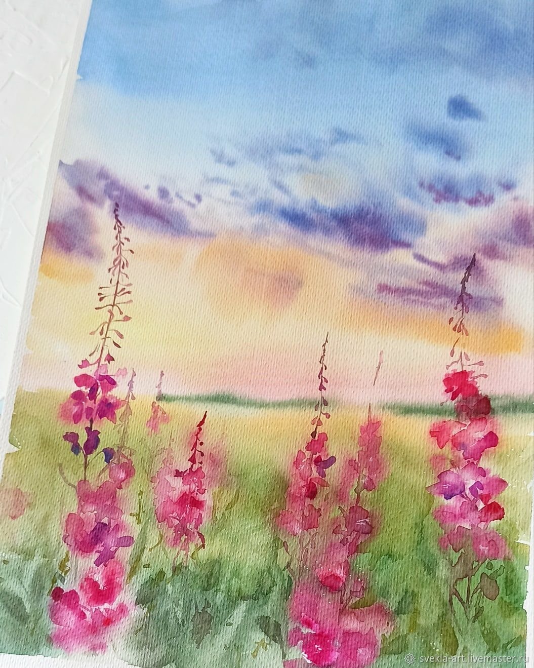 Иван чай акварель