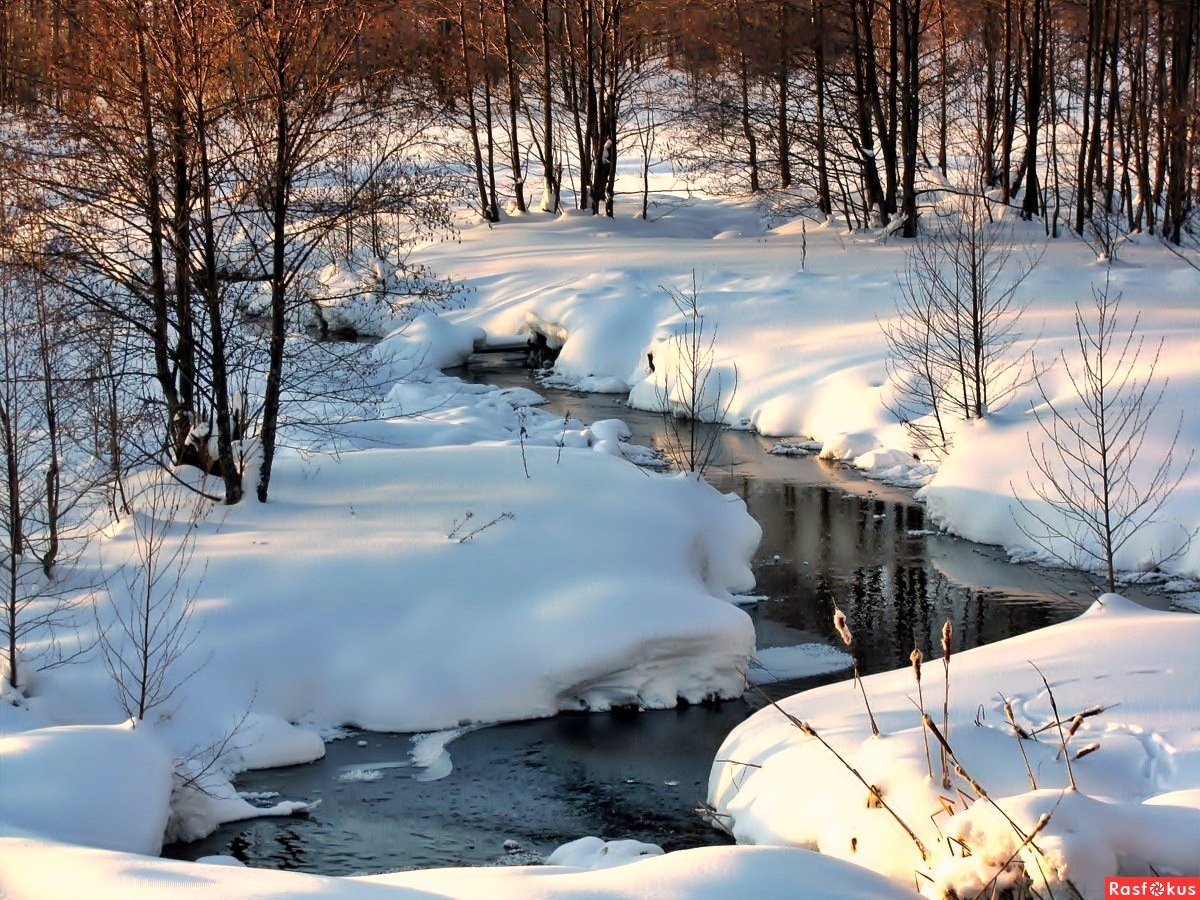 Ручейки весной