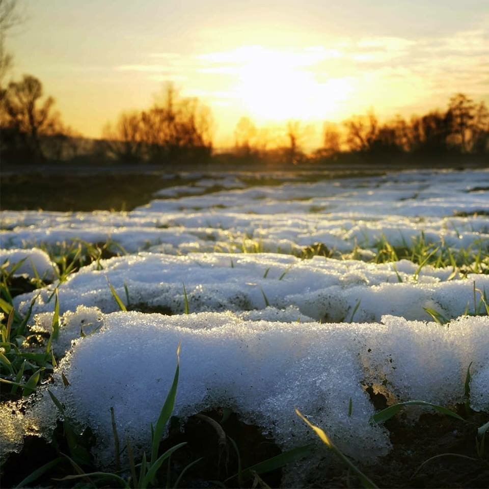 Весна солнце