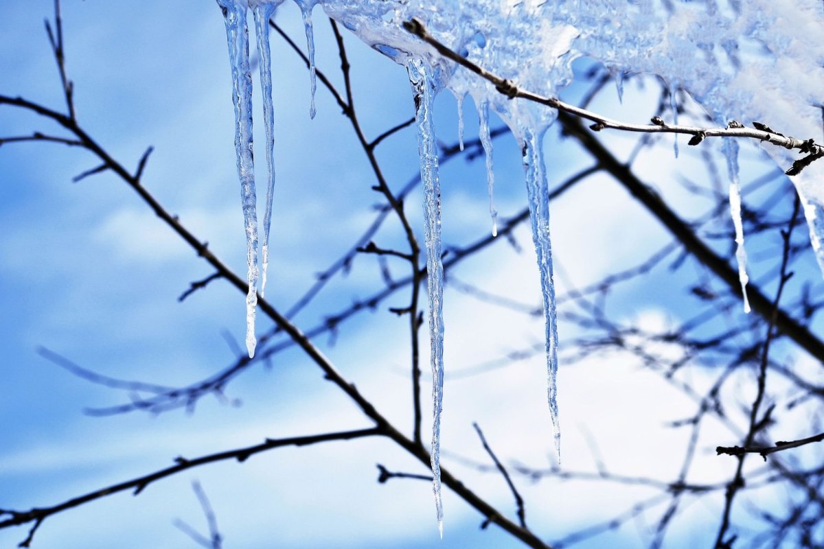 Весенние сосульки