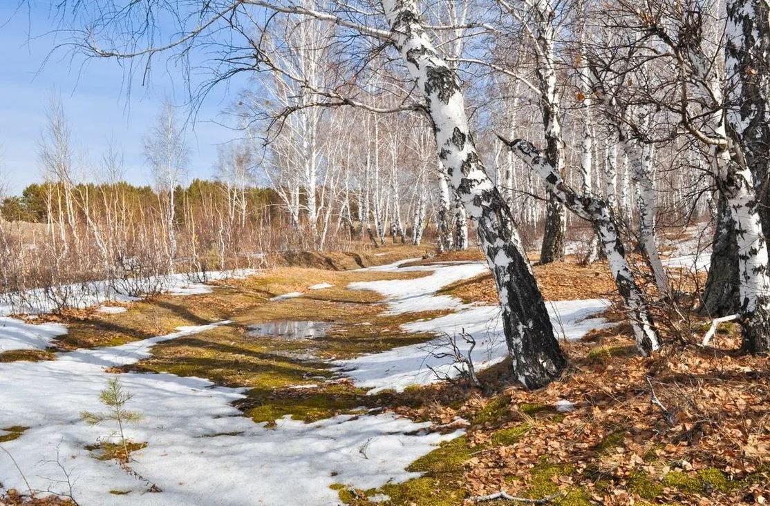 Весенняя природа