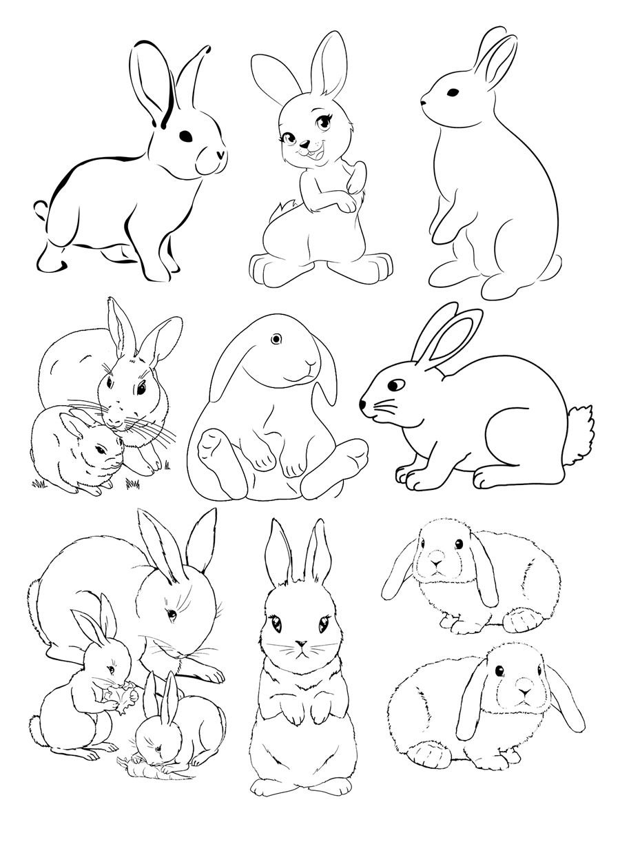 Кролик раскраска для детей