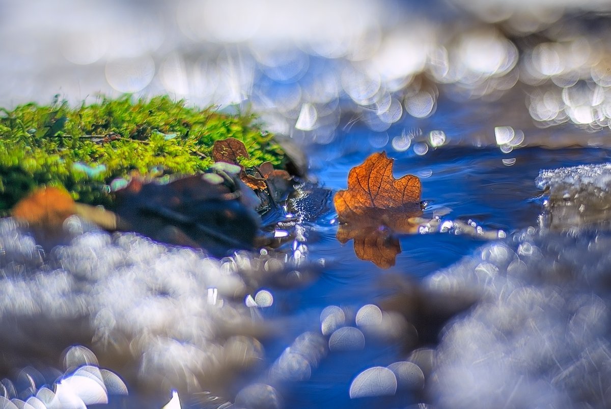 Весна капель ручьи