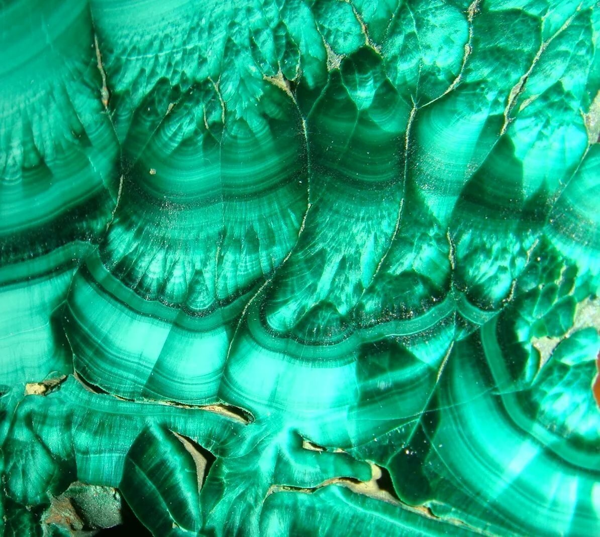 Кокардовый малахит