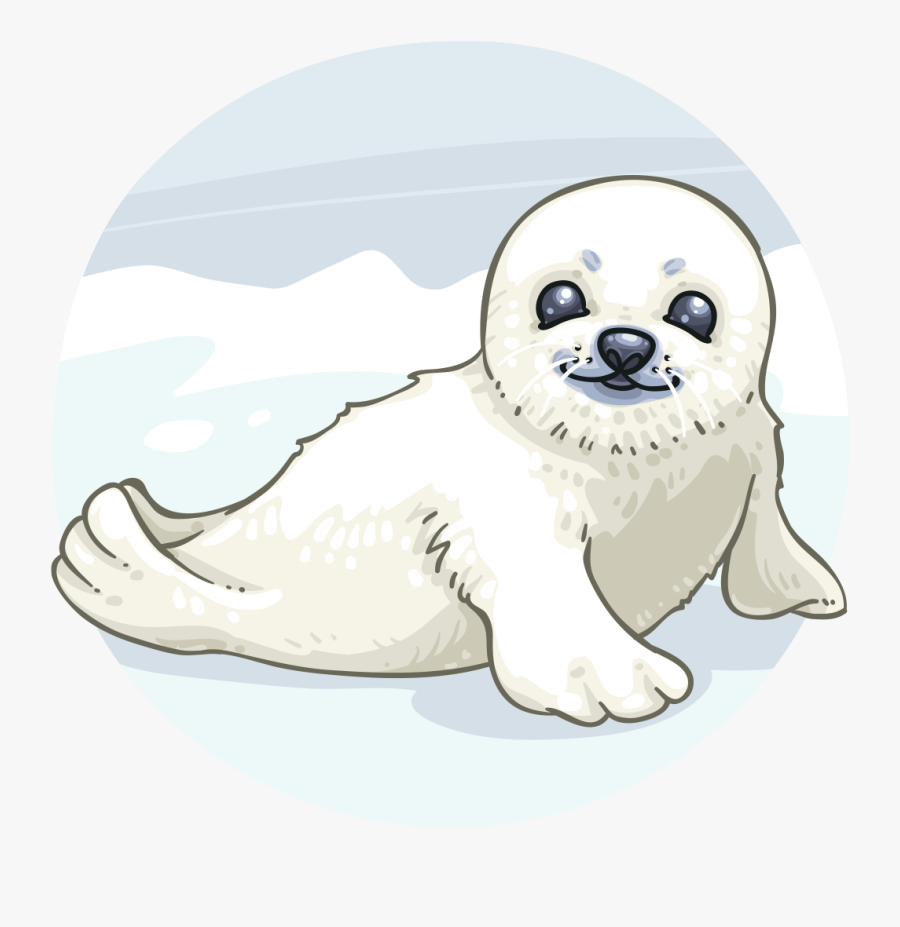 Нерпа под водой