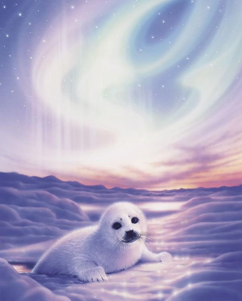 Байкальская Нерпа