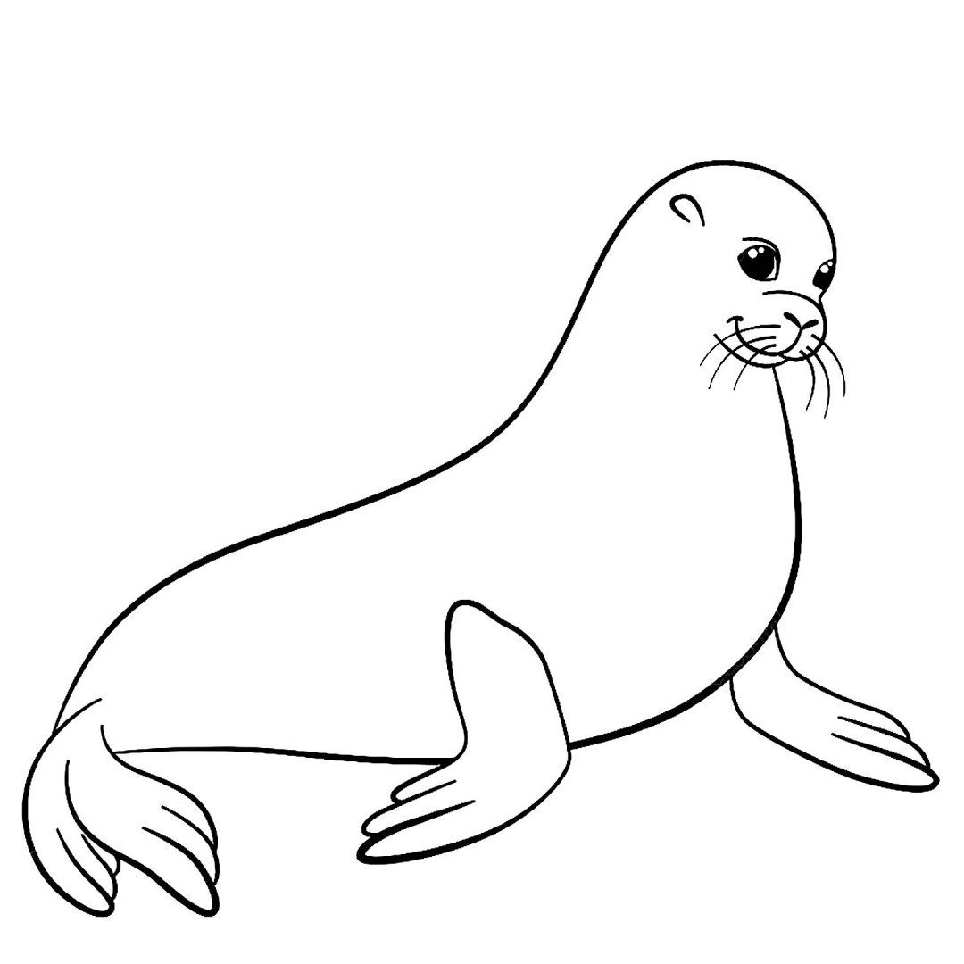 Нерпа Балтийская Нерпа Байкальская