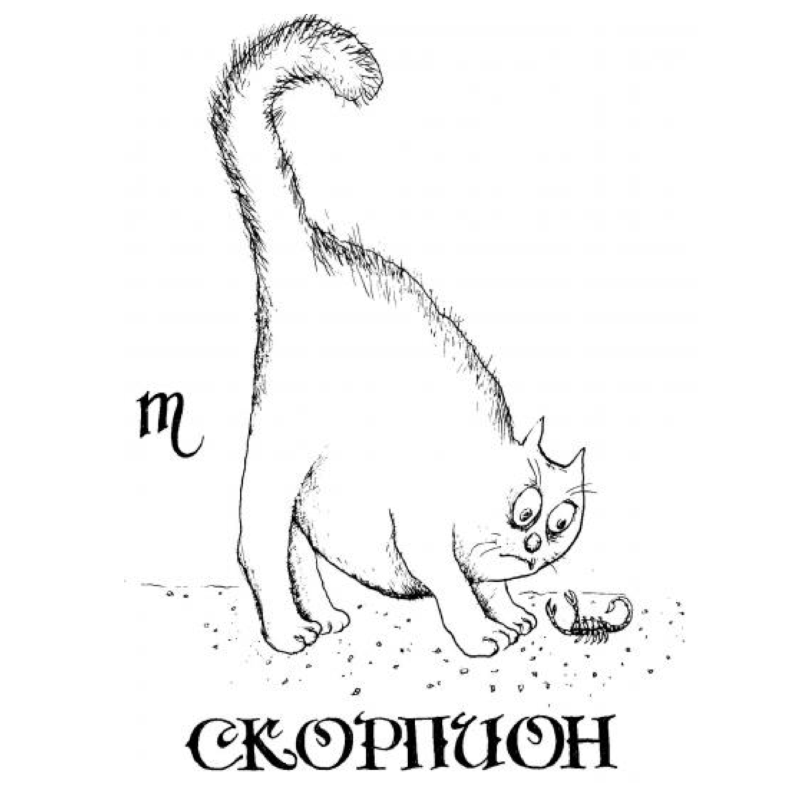 Приколы про скорпионов