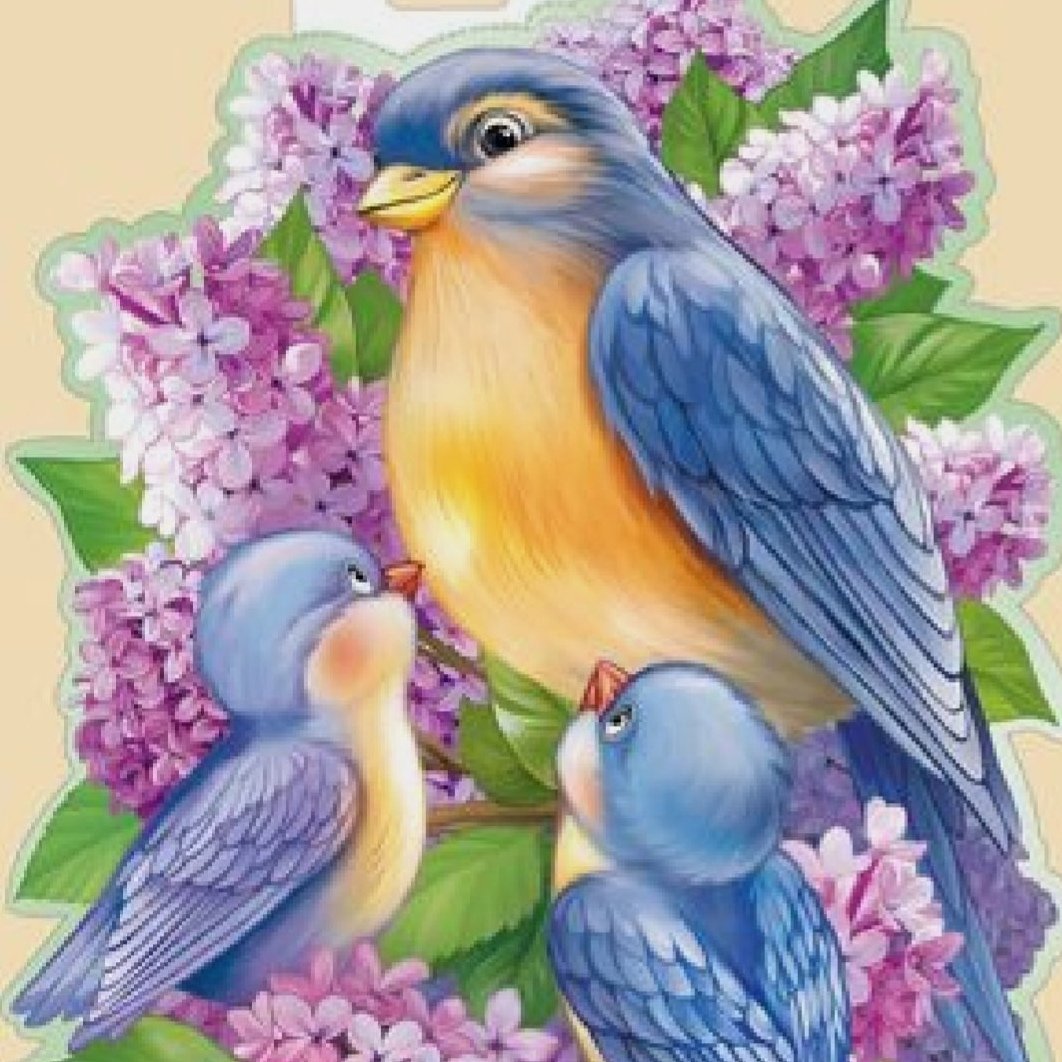 Плакат вырубной птицы