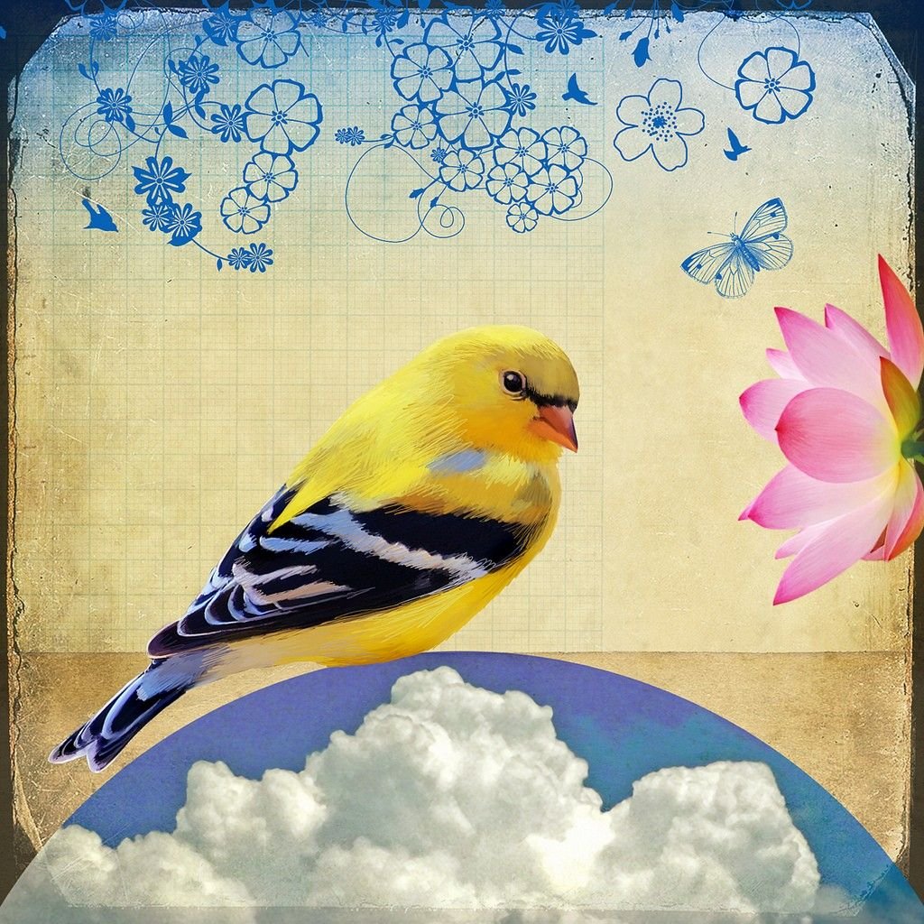 Жёлтая птица арт