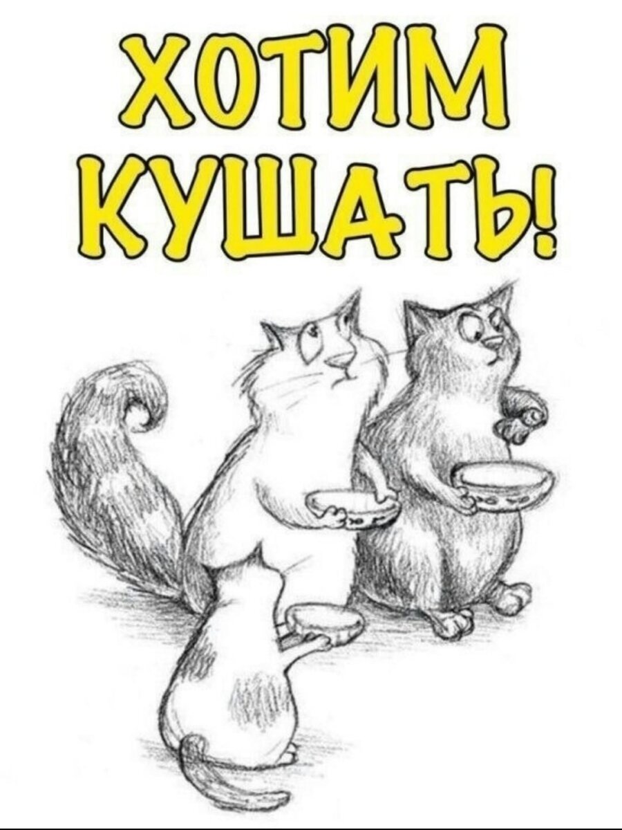 Нужен корм для животных